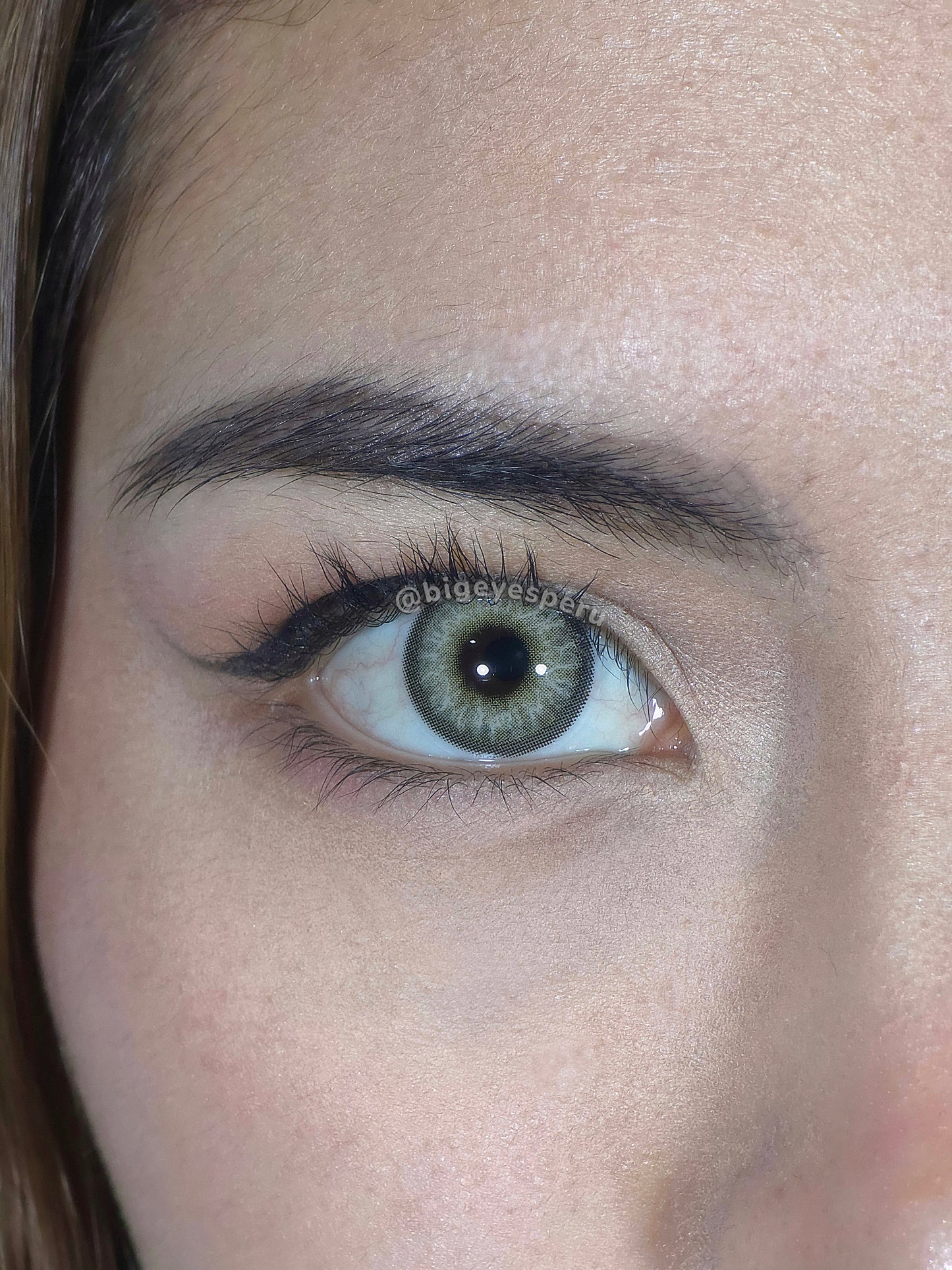 HIMALAYA GRAY