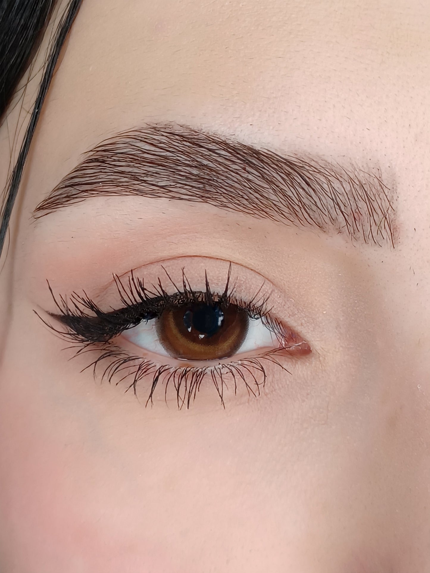 HIGHLIGHT BROWN