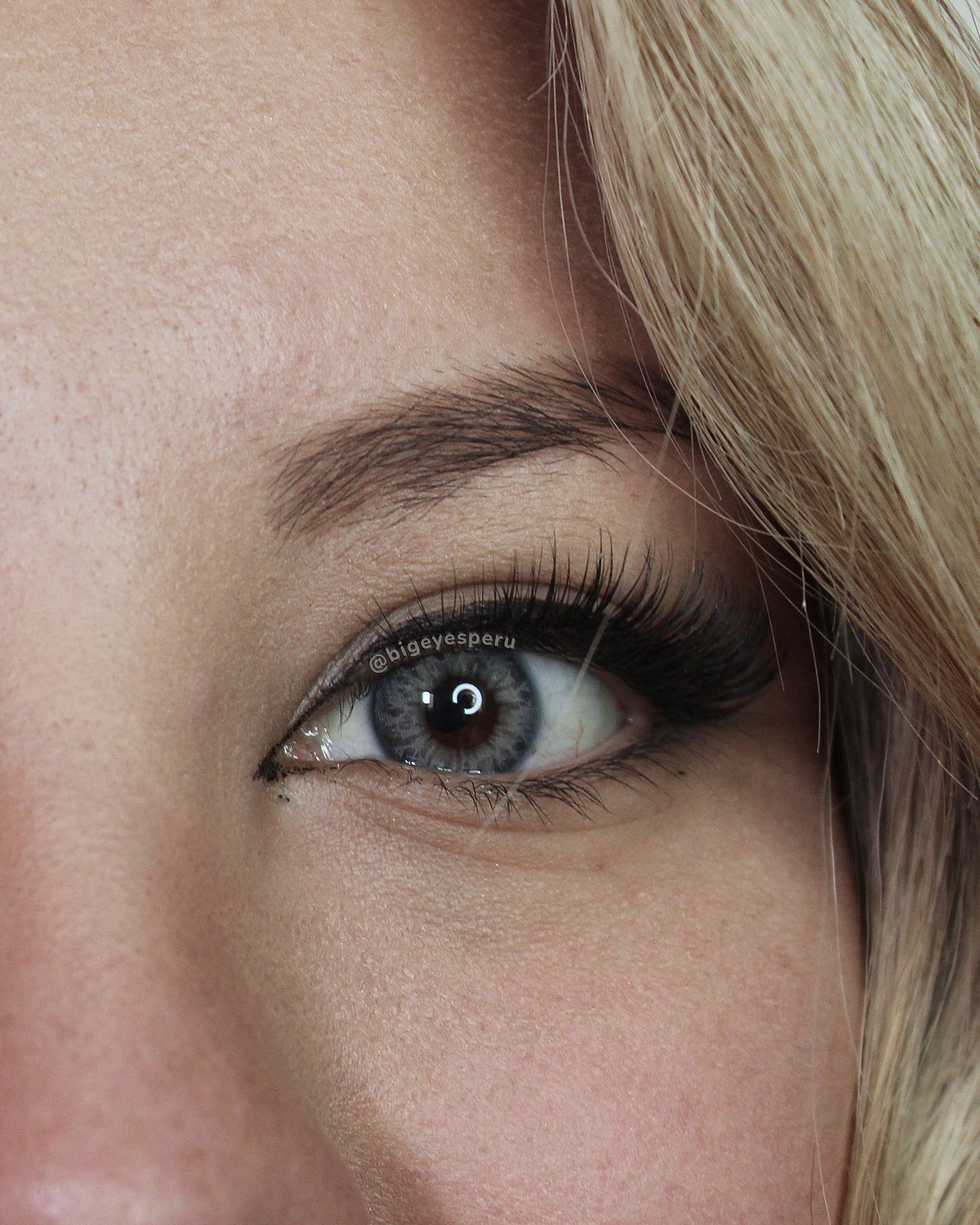 DNA TAYLOR BLUE GRAY