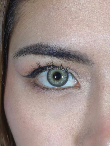 HIMALAYA GRAY
