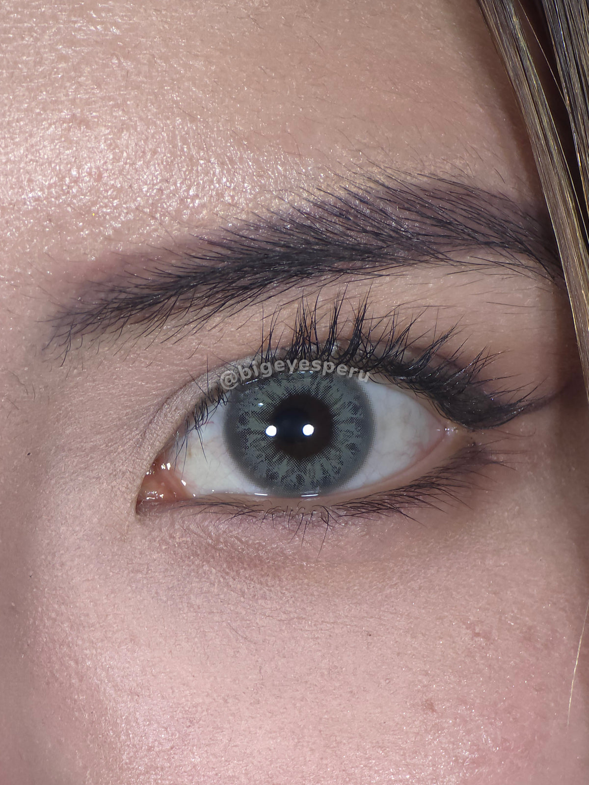 DNA Taylor Green Gray