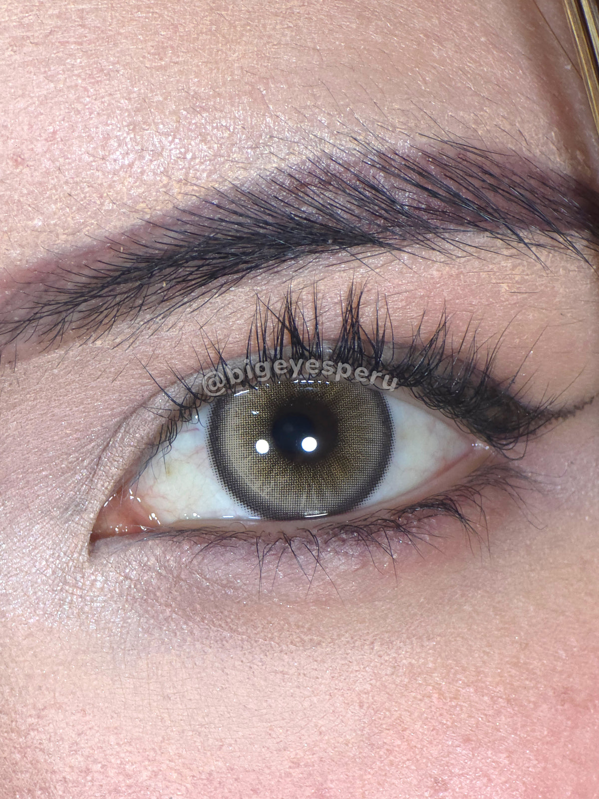 X BROWN FLARE